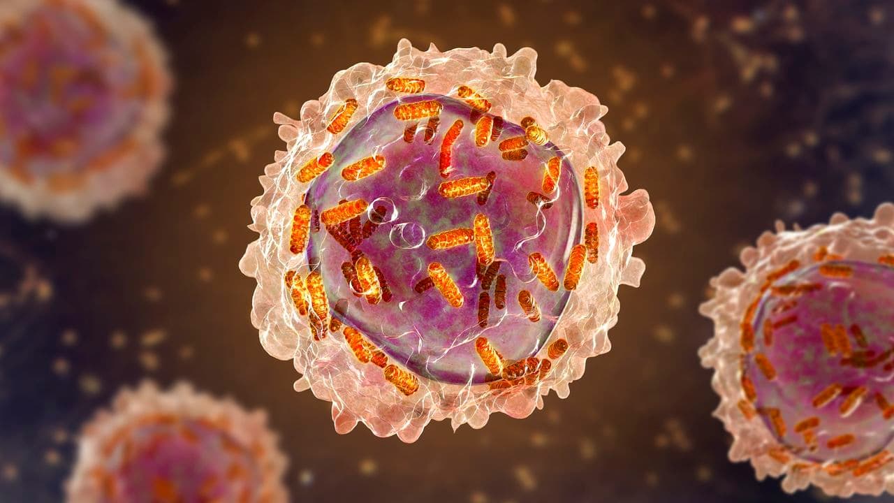 Science history: Female chemist initially barred from research helps helps develop drug for remarkable-but-short-lived recovery in children with leukemia — Dec. 6, 1954