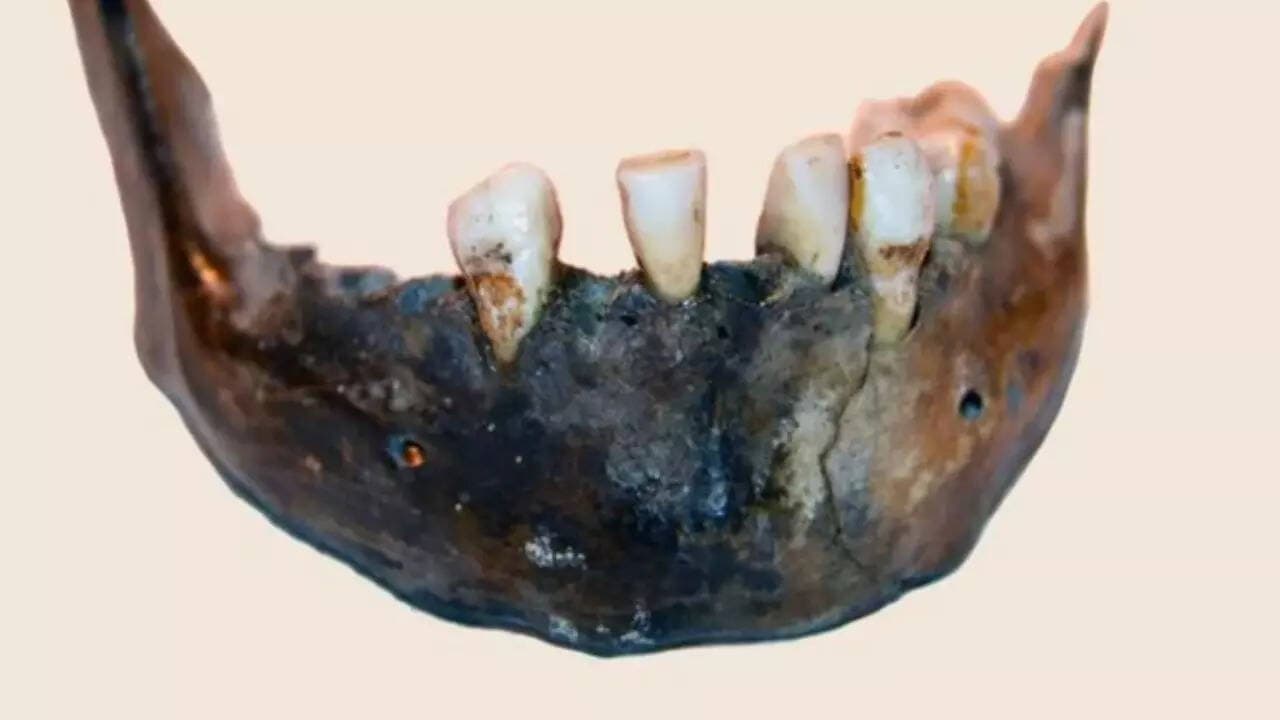 Human evolution mystery unlocked: How 100,000 years of isolation in southern Africa revealed hidden secrets of ancient DNA and our evolutionary history