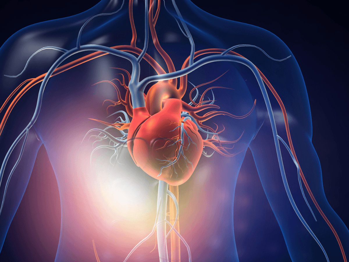 Heart health: Why women’s heart attacks are harder to spot, explains cardiologist