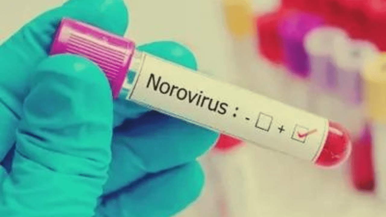 Cruise ship with 1,700 passengers onboard isolated after suspected norovirus death