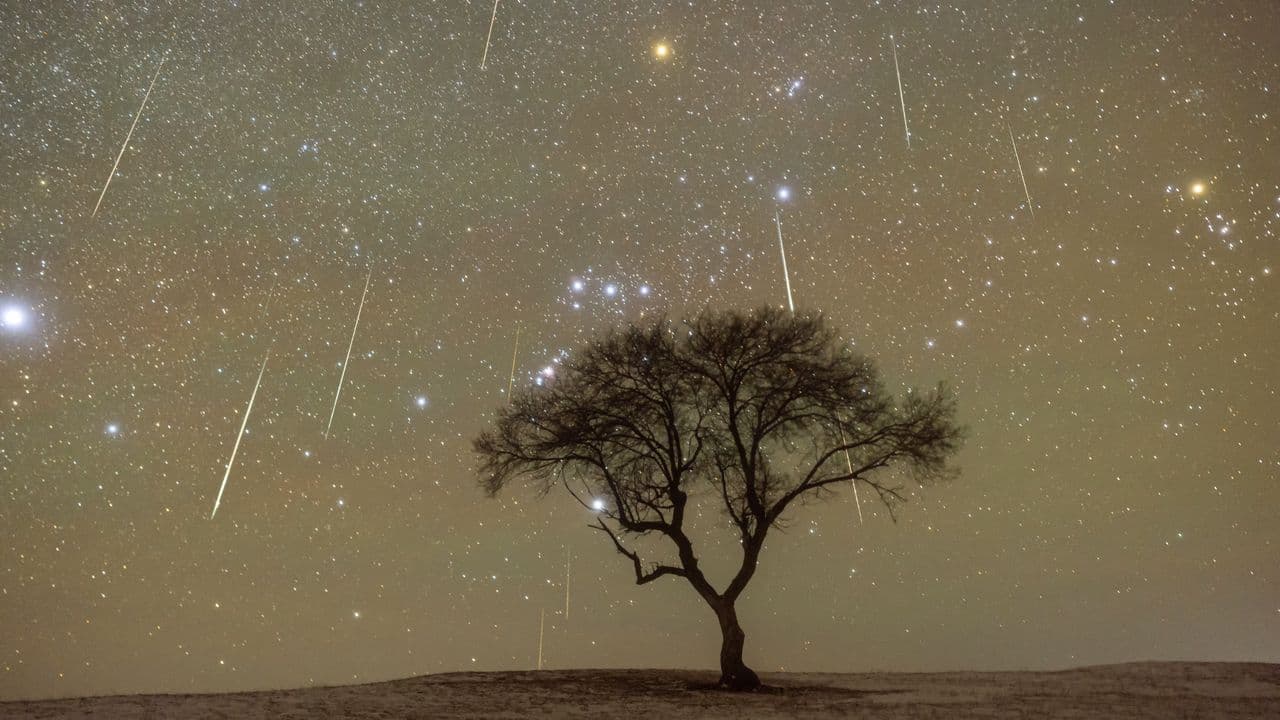 Geminids 2025: The year's best meteor shower is coming, with a second shower hot on its tail